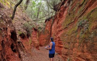 Ocres de Mormoiron, balade dans la forêt des ocres