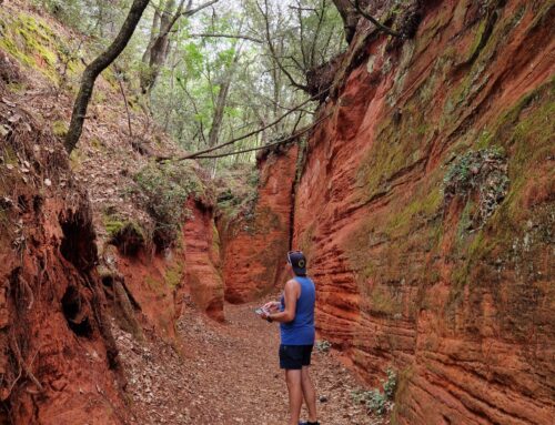 Camping familial en Provence : activités incontournables à Villes-sur-Auzon