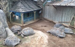 Ferme aux crocodiles