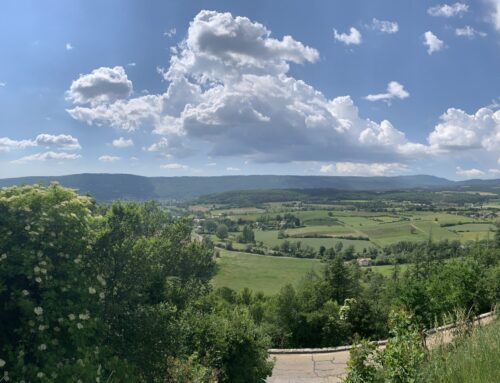 Découvrez le Vaucluse