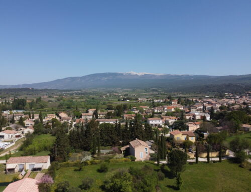 Nos emplacements camping à Villes-sur-Auzon : Confort, Privilège ou Freecamp ?