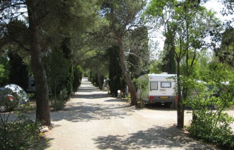 Une allée du camping