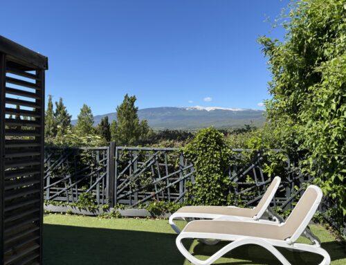 Chalet Sésame au Camping Les Verguettes : confort et vue Ventoux
