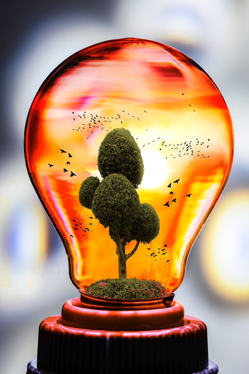 energie-preservation