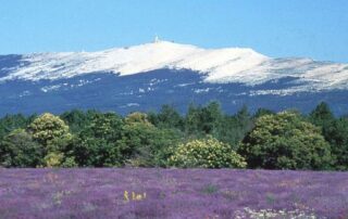 Le Mont Ventoux