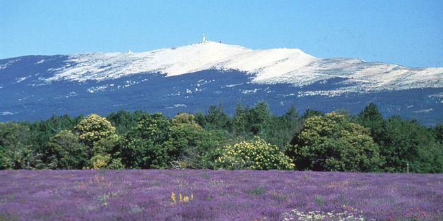 Le Mont Ventoux