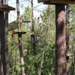 Accrobranche ventoux aventure